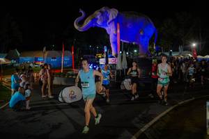 BIB: 
                            <button type="button" onclick="openModal(26552284)" class="btn btn-primary btn-sm float-right btn-popup" data-toggle="modal" data-target=".modal-high-quality">
                        <i class="fas fa-shopping-cart"></i> Add to Cart
                    </button>
                                            <button type="button" onclick="isThisMe(26552284, true)" class="btn btn-success btn-sm float-right btn-popup btn-isme hidden" data-toggle="tooltip" data-placement="bottom" title="นี่คือรูปของคุณใช่ไหม คลิกที่นี่เพื่อเอาเข้าอัลบั้ม">
                        <i class="fas fa-plus"></i> Add to album
                    </button>
                    <button type="button" onclick="isThisMe(26552284, false)" class="btn btn-warning btn-sm float-right btn-popup btn-isnotme hidden">
                        <i class="fas fa-ban"></i> Remove from album
                    </button>